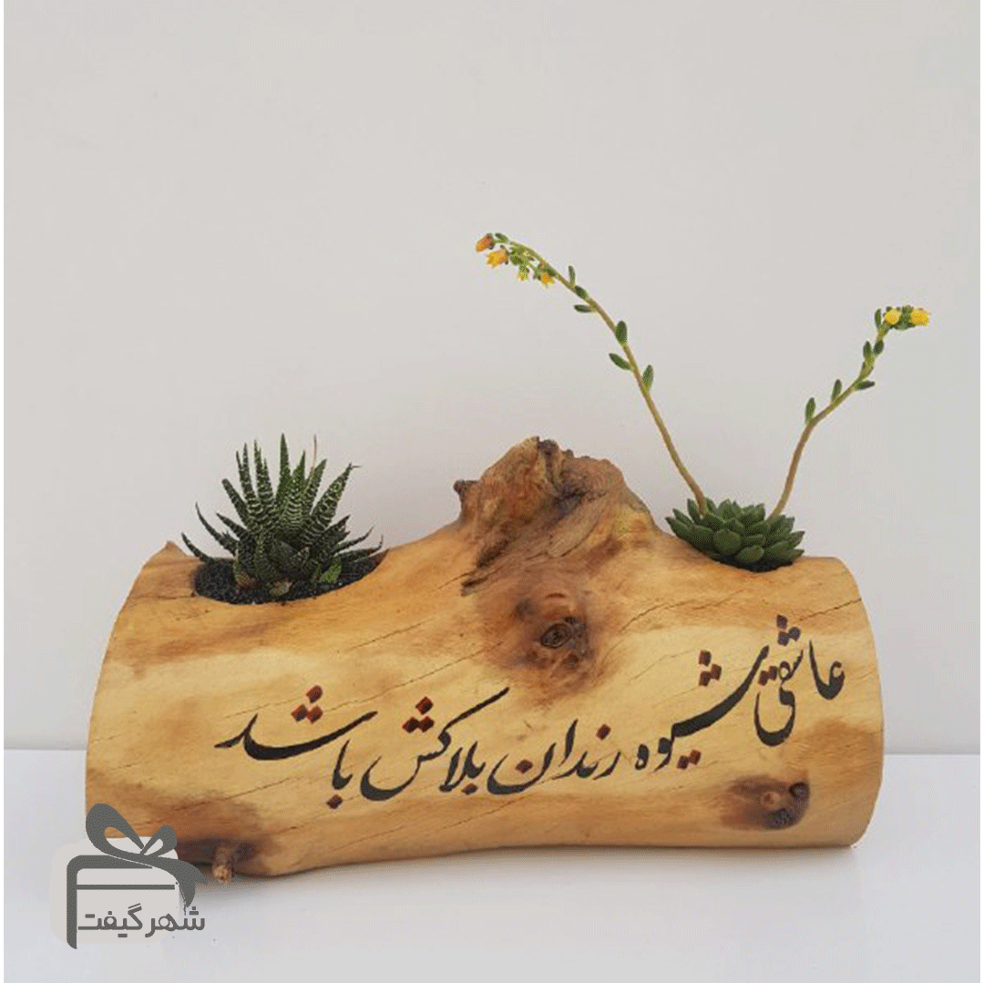 تبلیغاتی خاص ارزان2