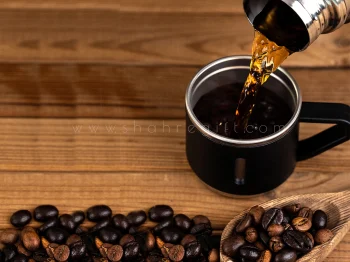 فلاسک دو لیونه با جعبه و بگ