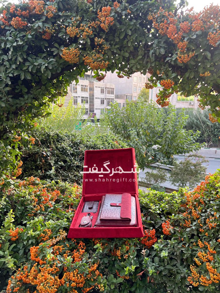 معرفی ۲۰ هدیه شرکتی ارزان(هدایای شرکتی ارزان)