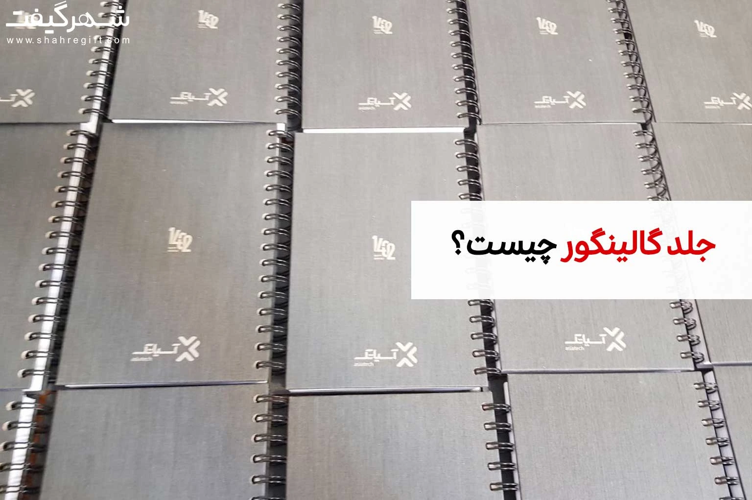 جلد گالینگور چیست؟: آشنایی با مفهوم جلد گالینگور و راهنمای جامع 1 جلد گالینگور