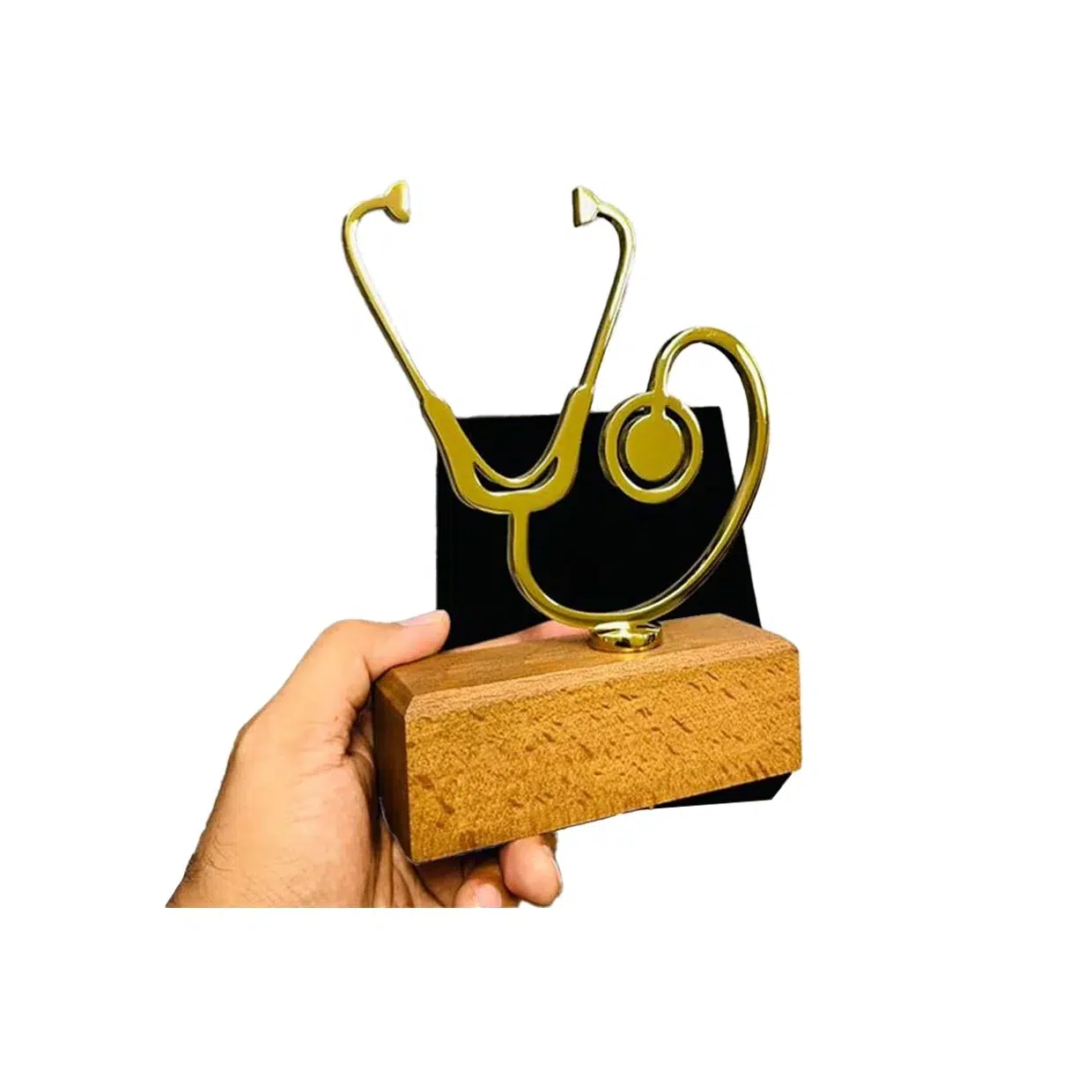 تندیس پزشکی۲